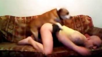 Bald man wears out sex with animals on the couch