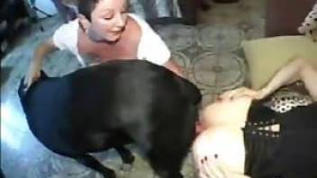 Busty chick tries dirty animal sex and likes it