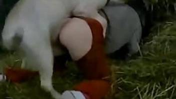 Dog sex on hay