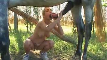 Farm cutie is enjoying horse massive dick