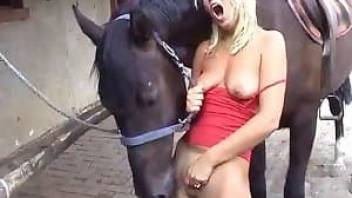 Fully perverted babe and her stallion