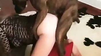 Giving cunt to dog