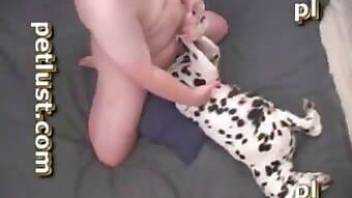 guy squirting in dog sex with his pet