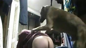 Long dog inserts his long dick to the peasant in the ass