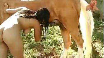 Nice bitch is jumping on a horse dick