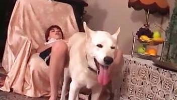 Oral sex with a dog in the bedroom