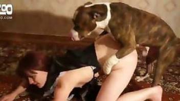 Redhead woman is getting fucked by a dog