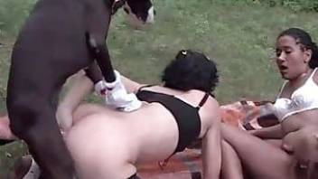 Yes she love to fuck with her trained doggy