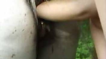 Young girl is taking a giant horse dick