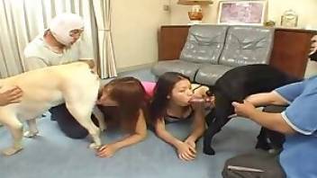 Asian beastiality showing horny girls and dogs. Free bestiality and animal porn