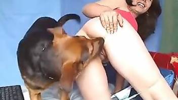 Bestiality porn with a curvaceous Latina. Free bestiality and animal porn