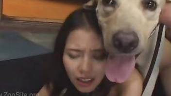 Dogs ripping apart this Asian brunette babe