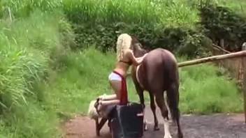 baby in shorts rubs a horse in hopes of animal sex