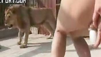 How to fuck a dog or a lion watch the video