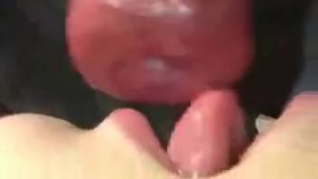 Chick screws a canine and gulps down yummy cum