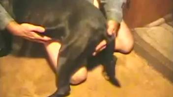 Free beastiality porn with a gay dog
