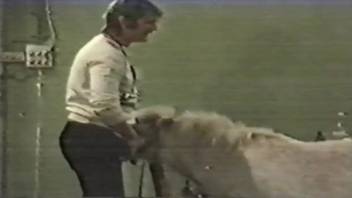 Fantastic pony bestiality film in zoophilia porn video