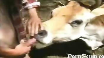 Better than women having sex with animals. Free bestiality and animal porn