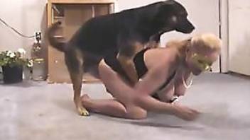 beauties are getting fucked by slender doggy