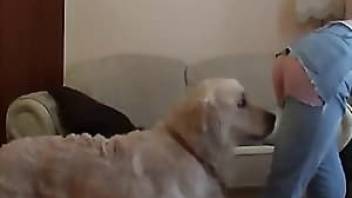 dog and sexy bitch are banging together