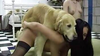 Blonde featured in dog porn scene here