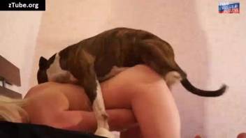 Complimentary canine erotica is simply the sexiest trend