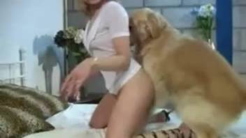 Awesome babe and her doggy love sex