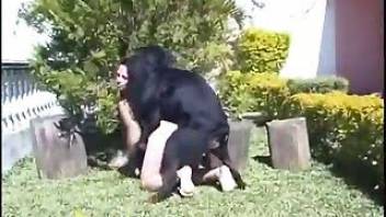 Girl fucked by a horny dog from behind