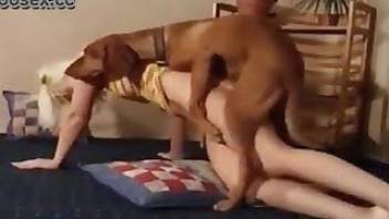 Animal sex XXX with a sweet blondie babe