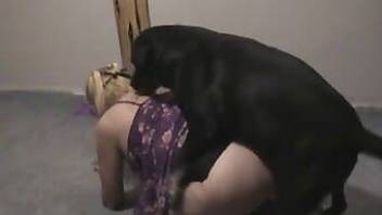 Gorgeous black dog fucked a chubby slut