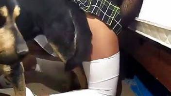 Woman fucking with a nice petite doggy