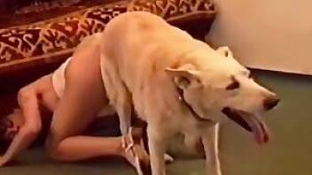 Dog fucked her little cunt in closeup