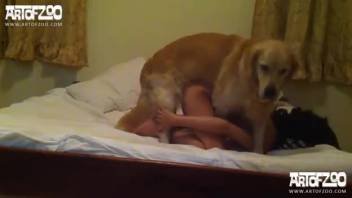 bestiality sex action with doggy