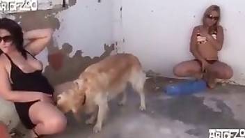 Blond-haired girl has sex with dog. Free bestiality and animal porn