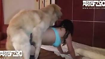 Dog fucks girl porn with a Latina. Free bestiality and animal porn