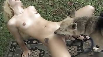 Girl has sex with dog in the grass. Free bestiality and animal porn