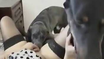 Horny women enjoy hot sex with a dog