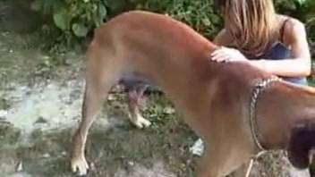 Long-legged animal lover yearning for beastly intercourse