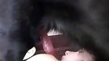 First dog sex young and inexperienced whore