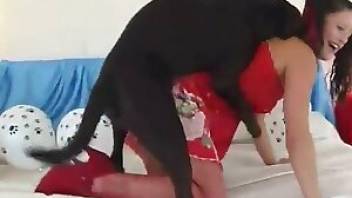 Dog porn with a sexy lady in red. Free bestiality and animal porn
