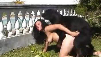 Dog sex with women video Latina XXX. Free bestiality and animal porn