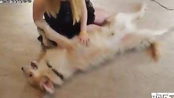 Girl has sex with dog on the floor