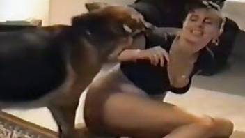 Zoo porn movie with really hot humping