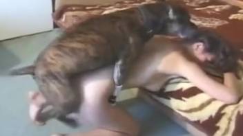 Complimentary animal intercourse featuring a dark-haired woman is incredibly steamy