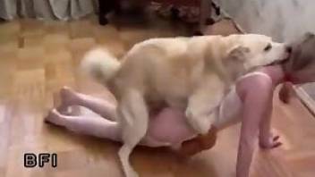 Blonde allows dog to enter her pussy