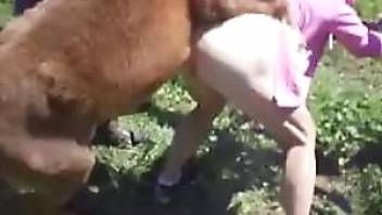 Horse sex action with a playful girlfriend