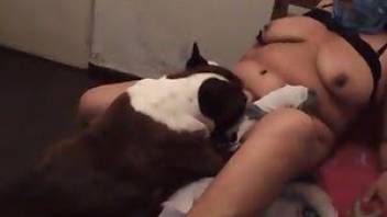Sympathetic dog sex vids zoo porn action