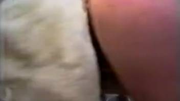 Busty blonde fucks with her playful dog
