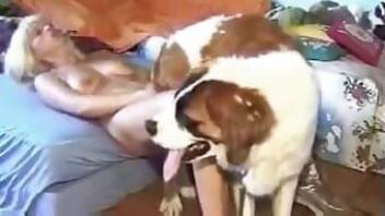 Good doggy fucked a busty blonde