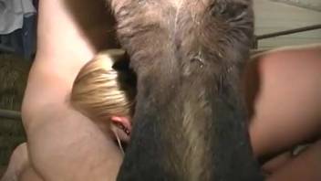 beast fucks with sweet babe in